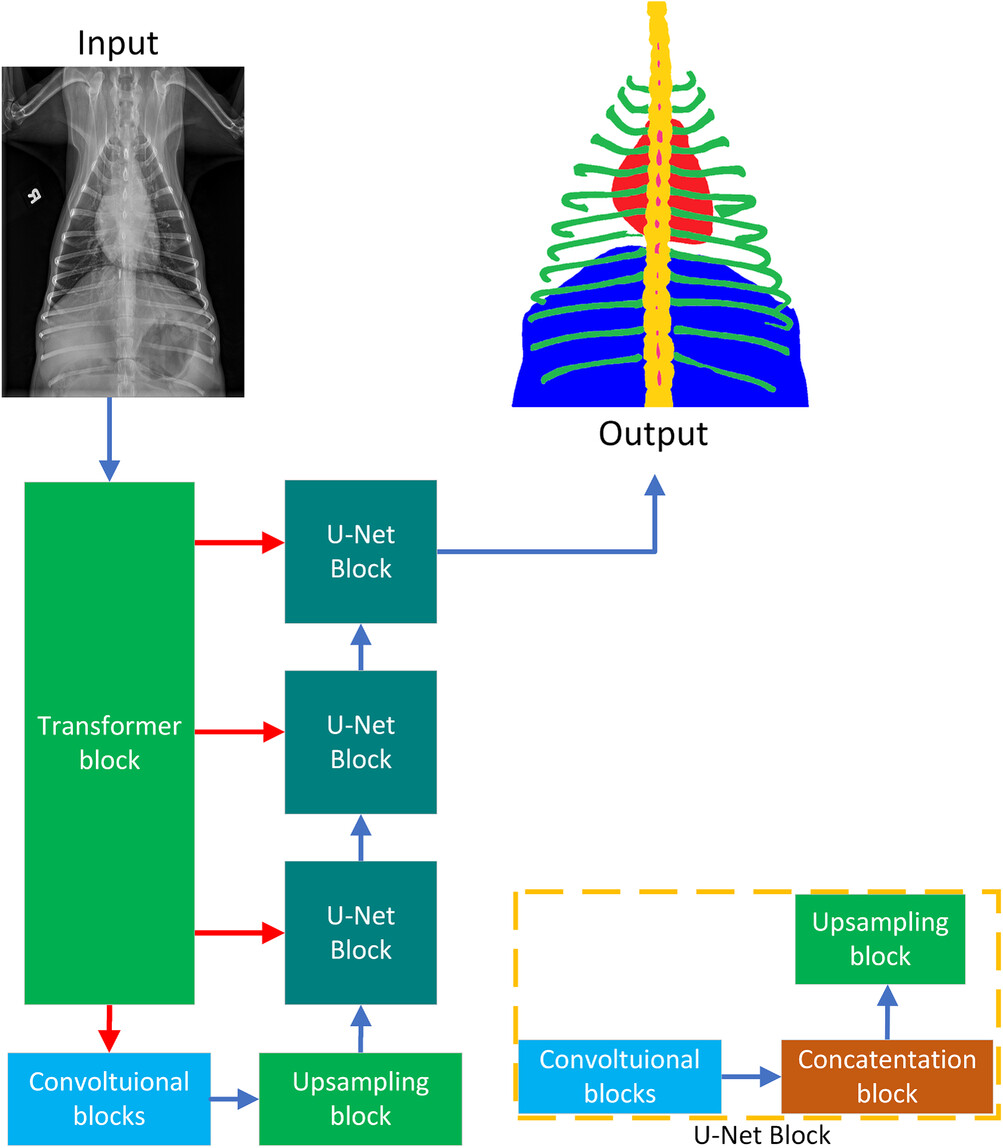 Classification of the quality of canine and feline ventrodorsal and dorsoventral thoracic radiographs through machine learning