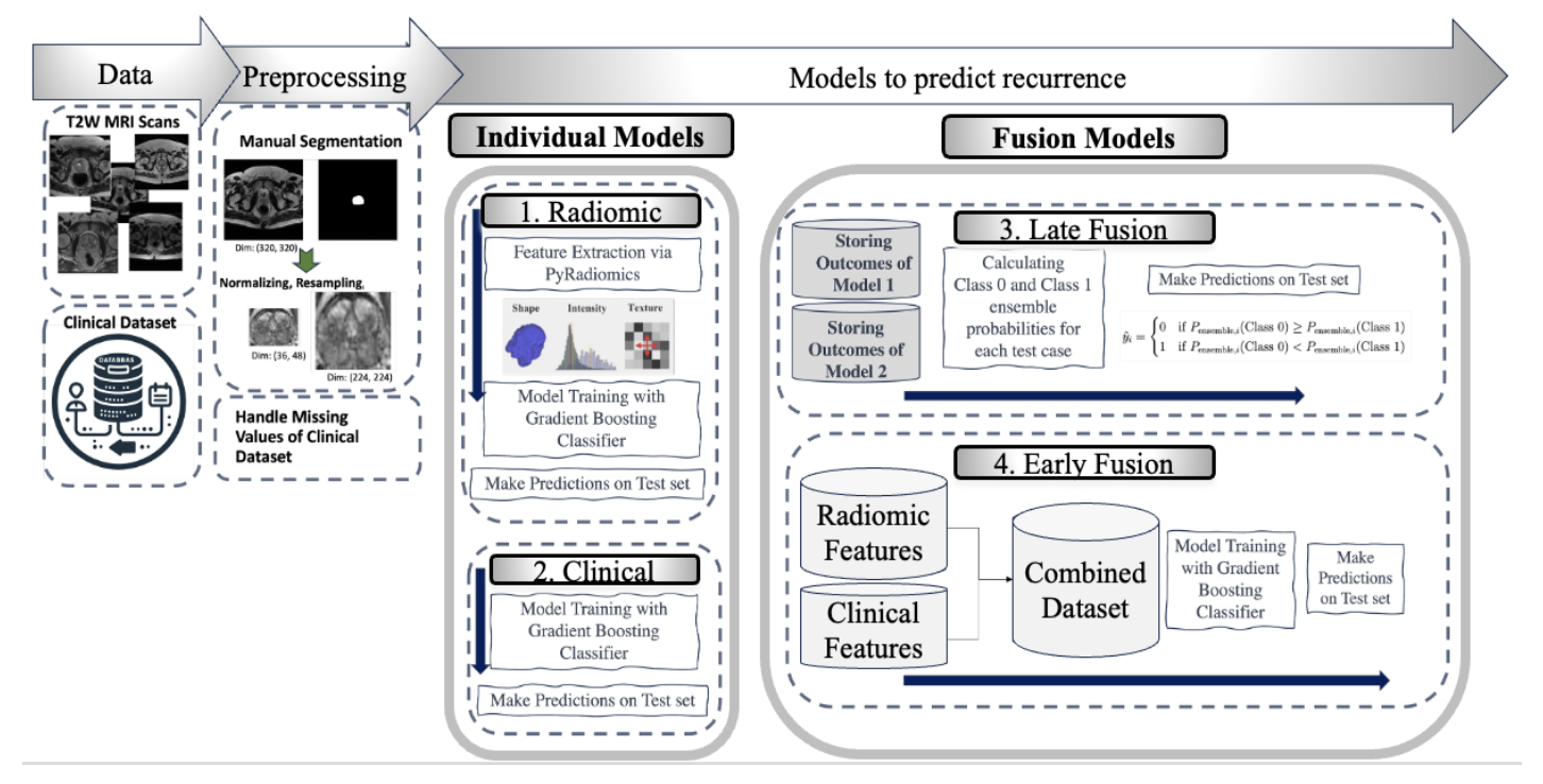 Dr. Negin Piran Nanekaran research image 1