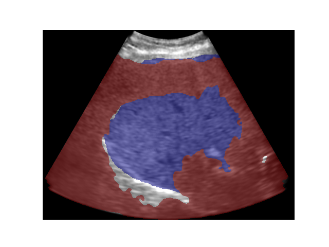 Zachary Szentimrey research image 1